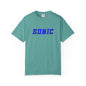 Blue Hedgehog  Gaming Graphic T-Shirt