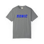 Blue Hedgehog  Gaming Graphic T-Shirt
