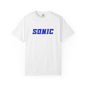 Blue Hedgehog  Gaming Graphic T-Shirt