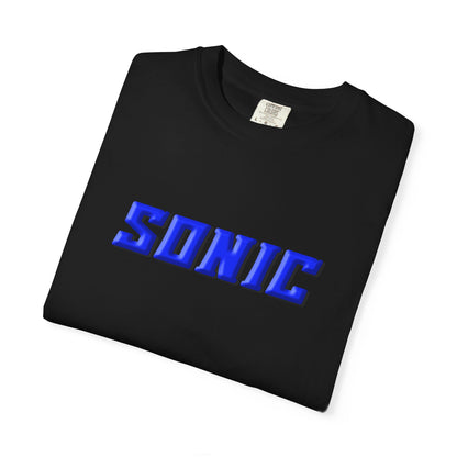 Blue Hedgehog  Gaming Graphic T-Shirt