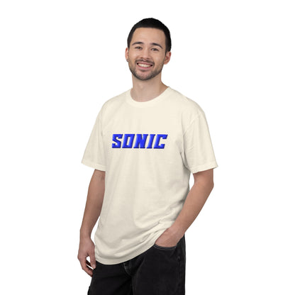 Blue Hedgehog  Gaming Graphic T-Shirt