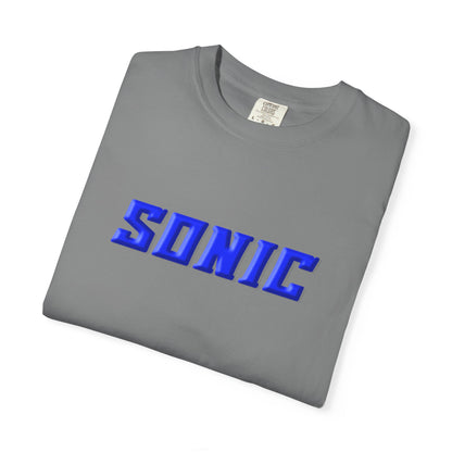 Blue Hedgehog  Gaming Graphic T-Shirt