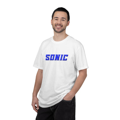 Blue Hedgehog  Gaming Graphic T-Shirt