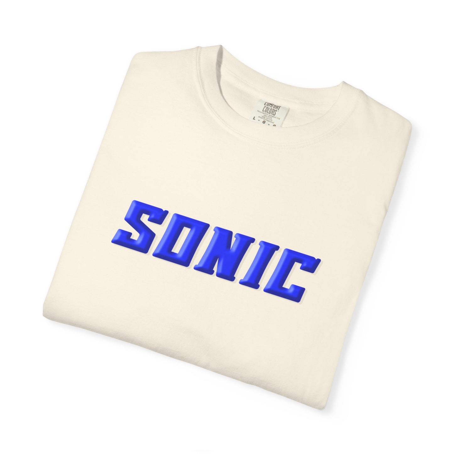 Blue Hedgehog  Gaming Graphic T-Shirt