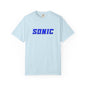 Blue Hedgehog  Gaming Graphic T-Shirt