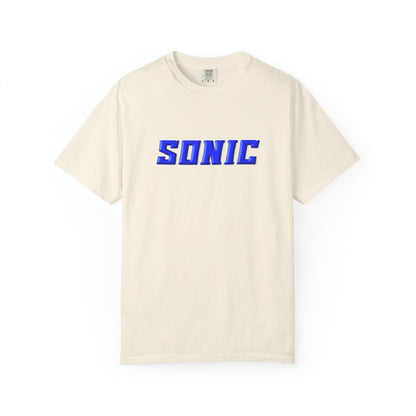 Blue Hedgehog  Gaming Graphic T-Shirt