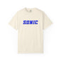 Blue Hedgehog  Gaming Graphic T-Shirt