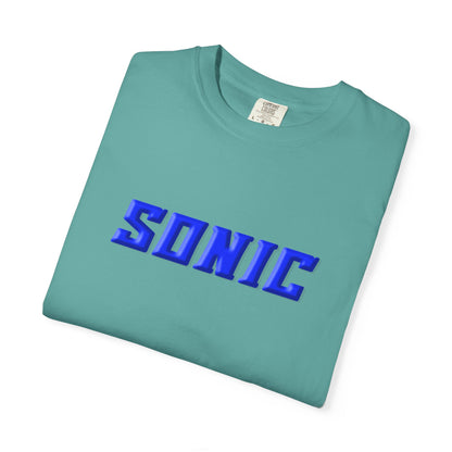 Blue Hedgehog  Gaming Graphic T-Shirt
